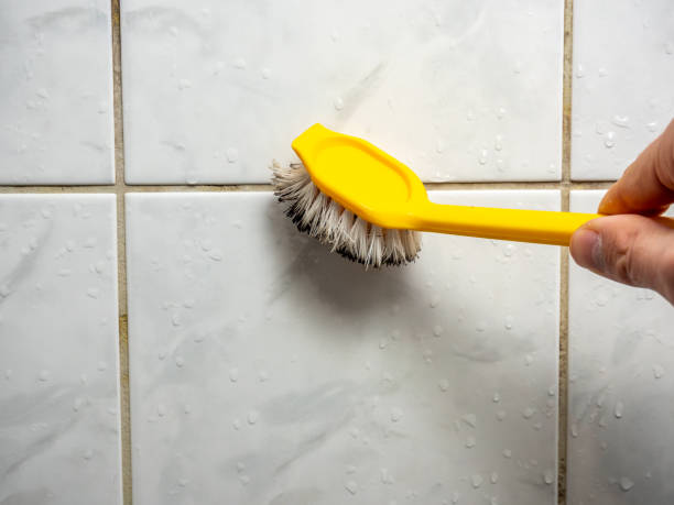 Best Emergency Mold Removal  in Deale, MD
